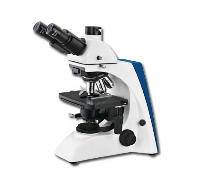 Trinocular Biology LED Microscope 